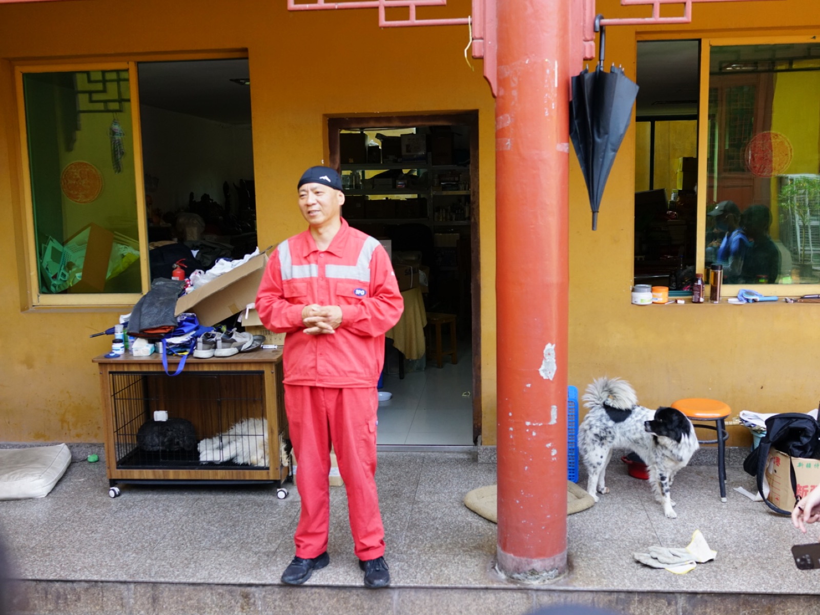 The outdoor rescue center yard with animals and volunteers